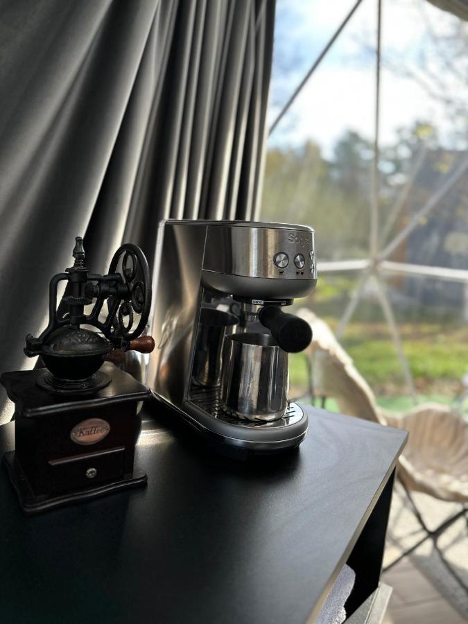 The Frog Glamping Hotell Horezu Eksteriør bilde