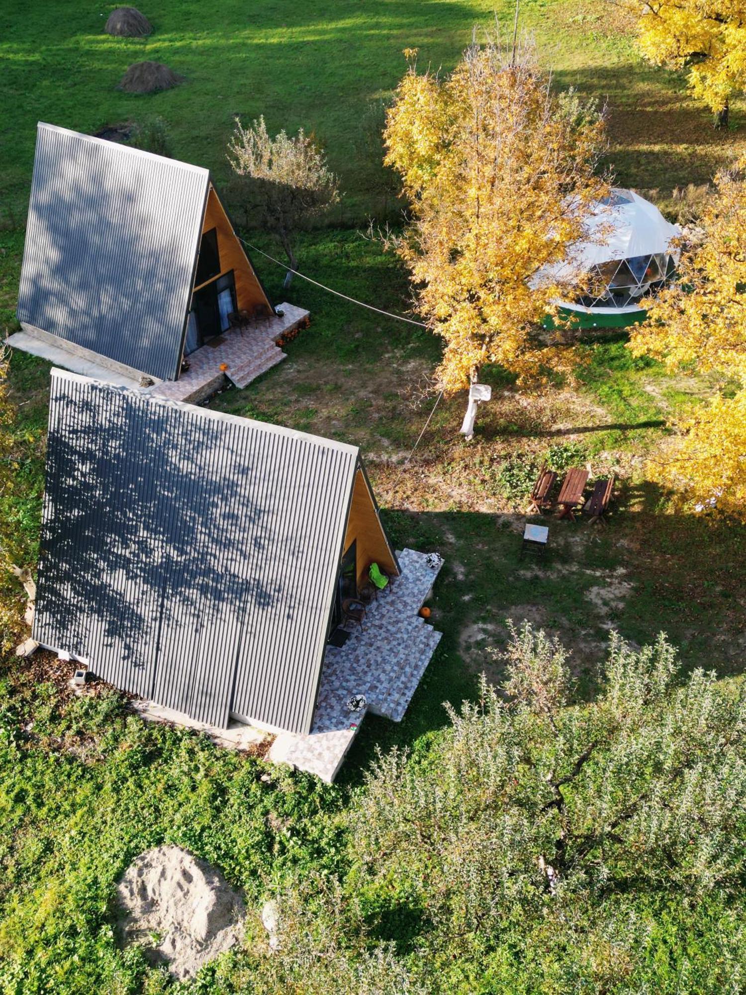 The Frog Glamping Hotell Horezu Eksteriør bilde