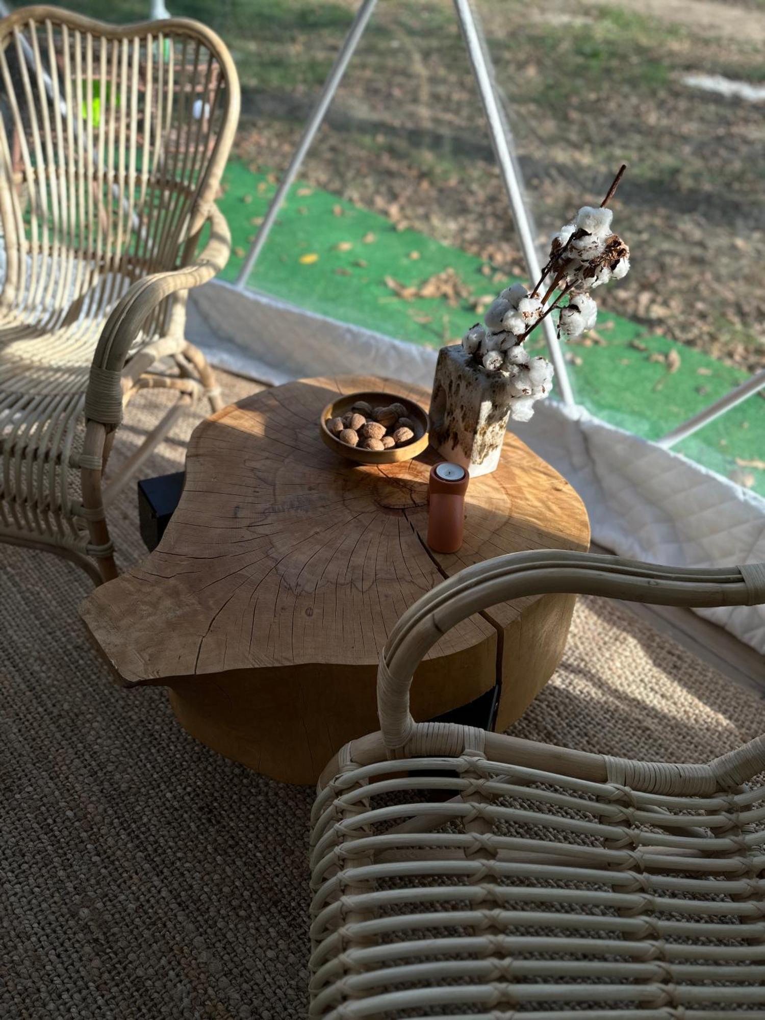 The Frog Glamping Hotell Horezu Eksteriør bilde