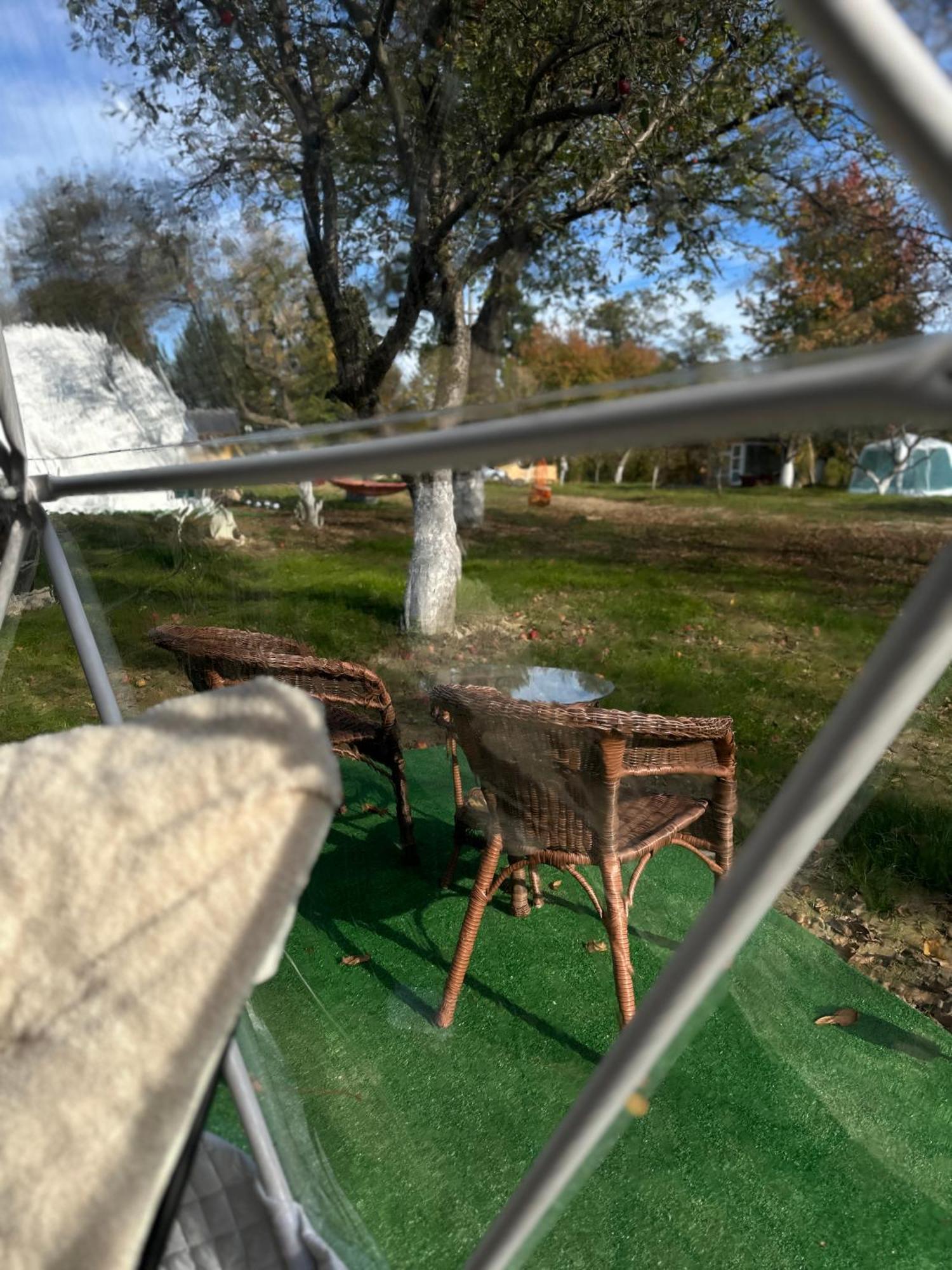 The Frog Glamping Hotell Horezu Eksteriør bilde