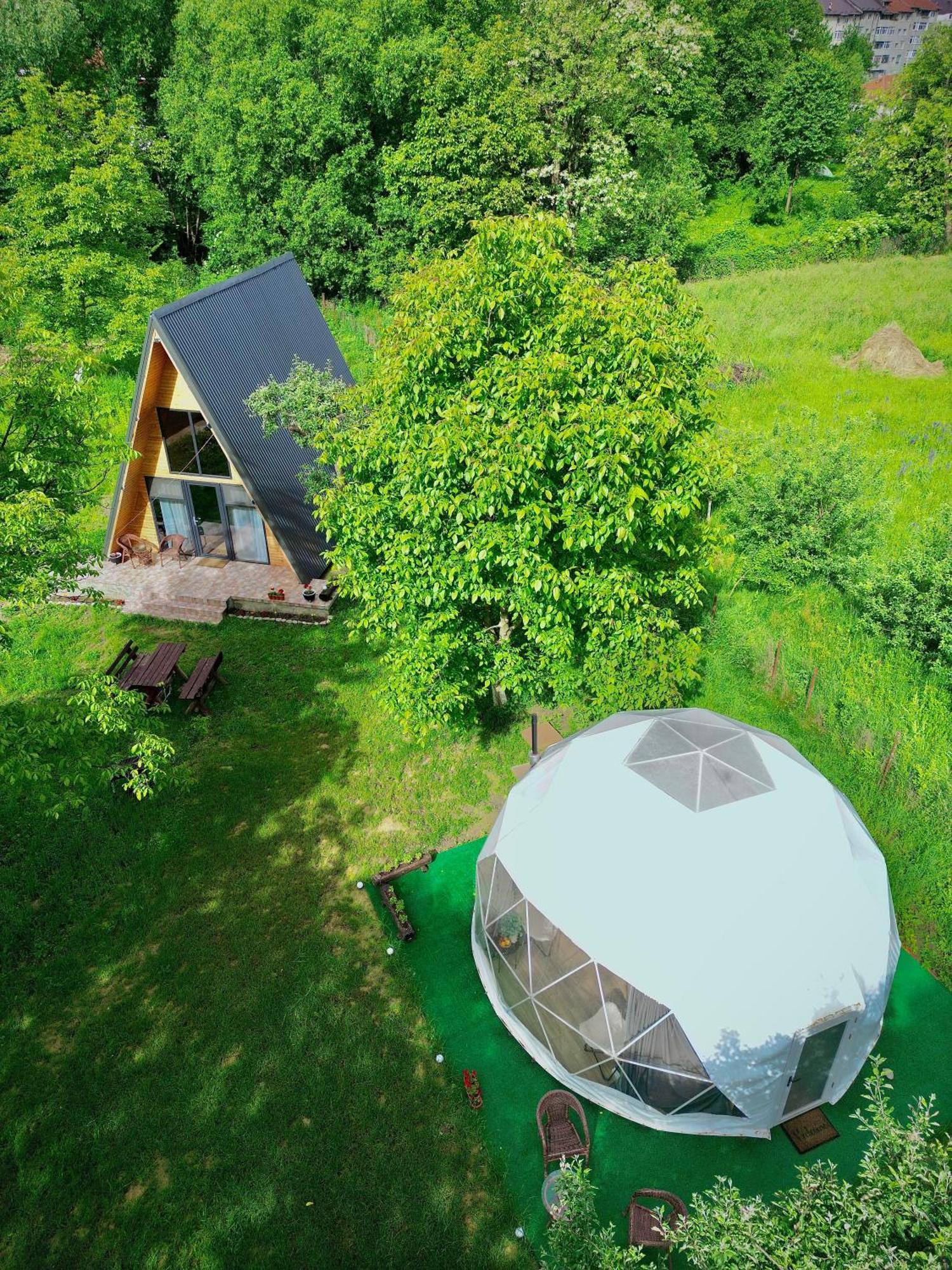 The Frog Glamping Hotell Horezu Eksteriør bilde