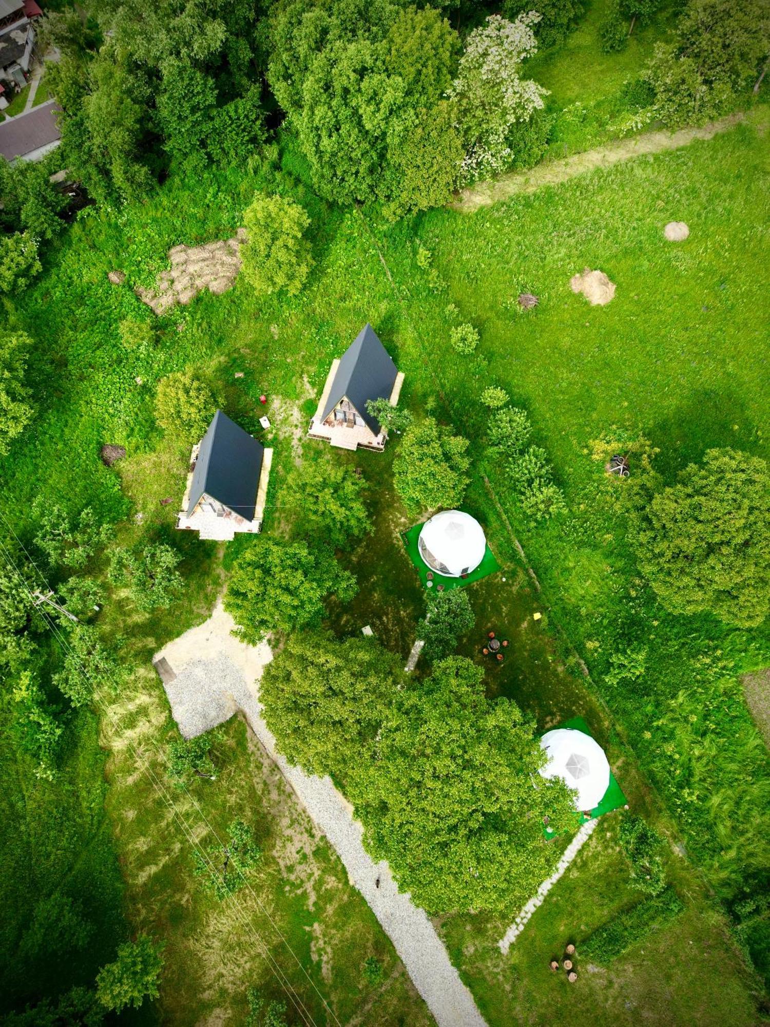 The Frog Glamping Hotell Horezu Eksteriør bilde