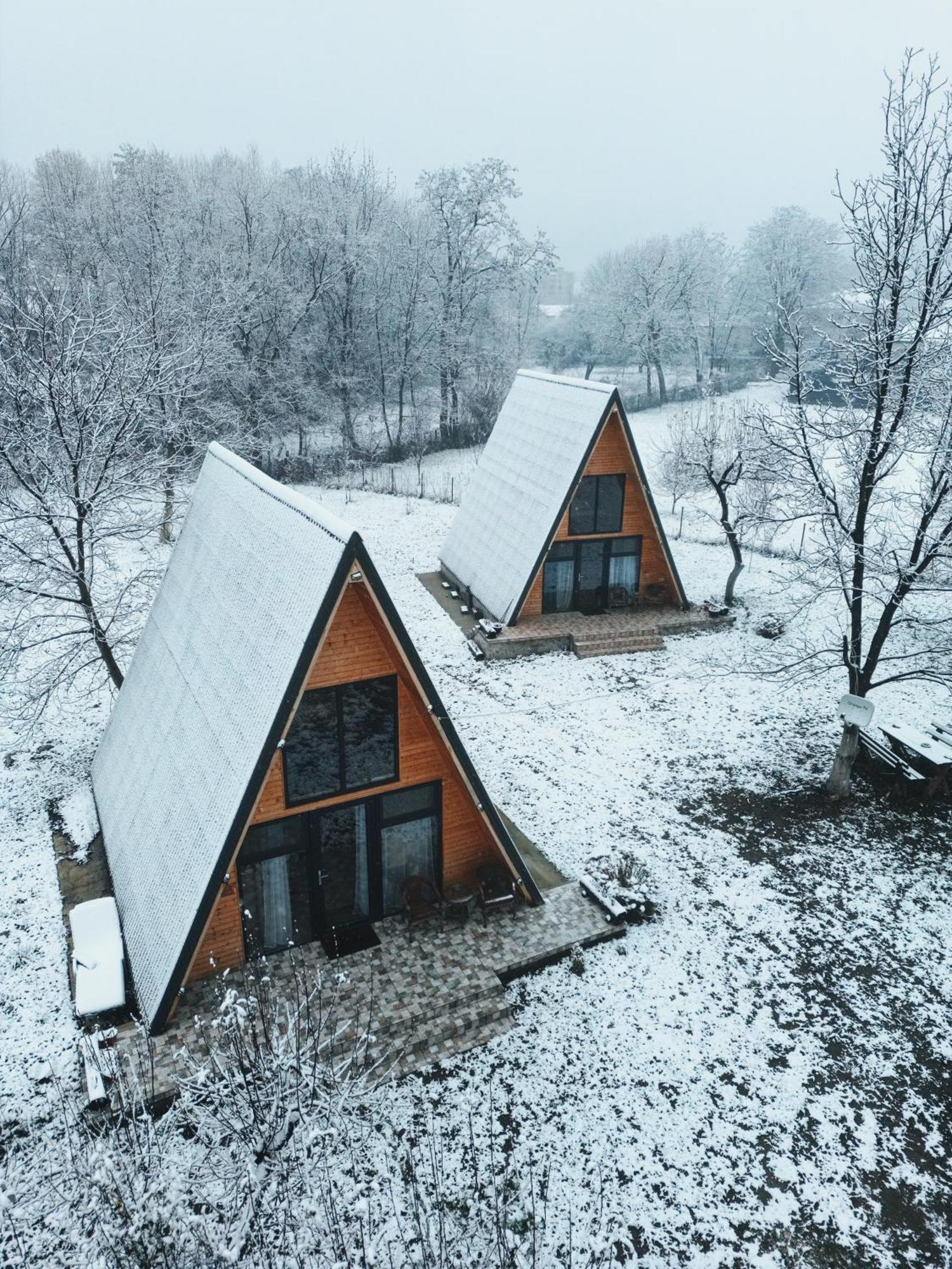 The Frog Glamping Hotell Horezu Eksteriør bilde