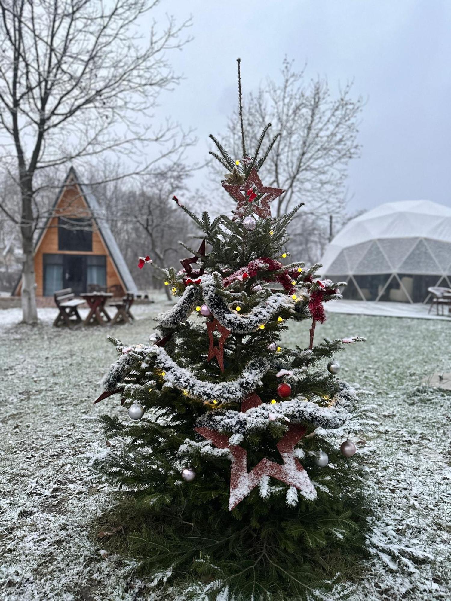 The Frog Glamping Hotell Horezu Eksteriør bilde