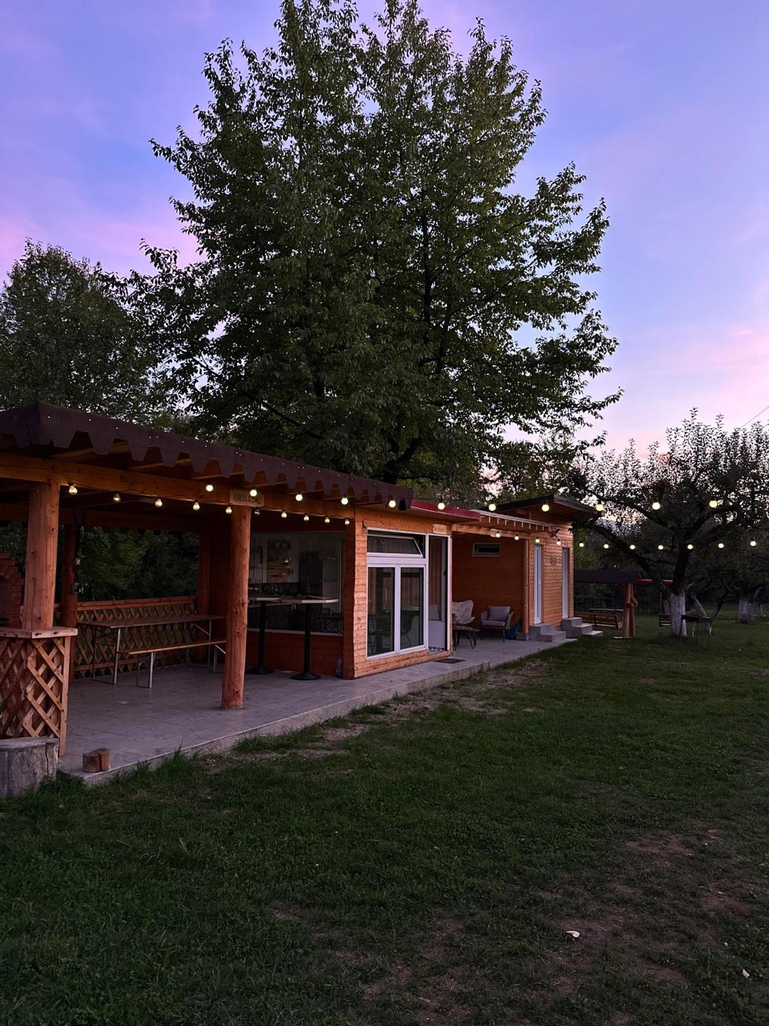 The Frog Glamping Hotell Horezu Eksteriør bilde