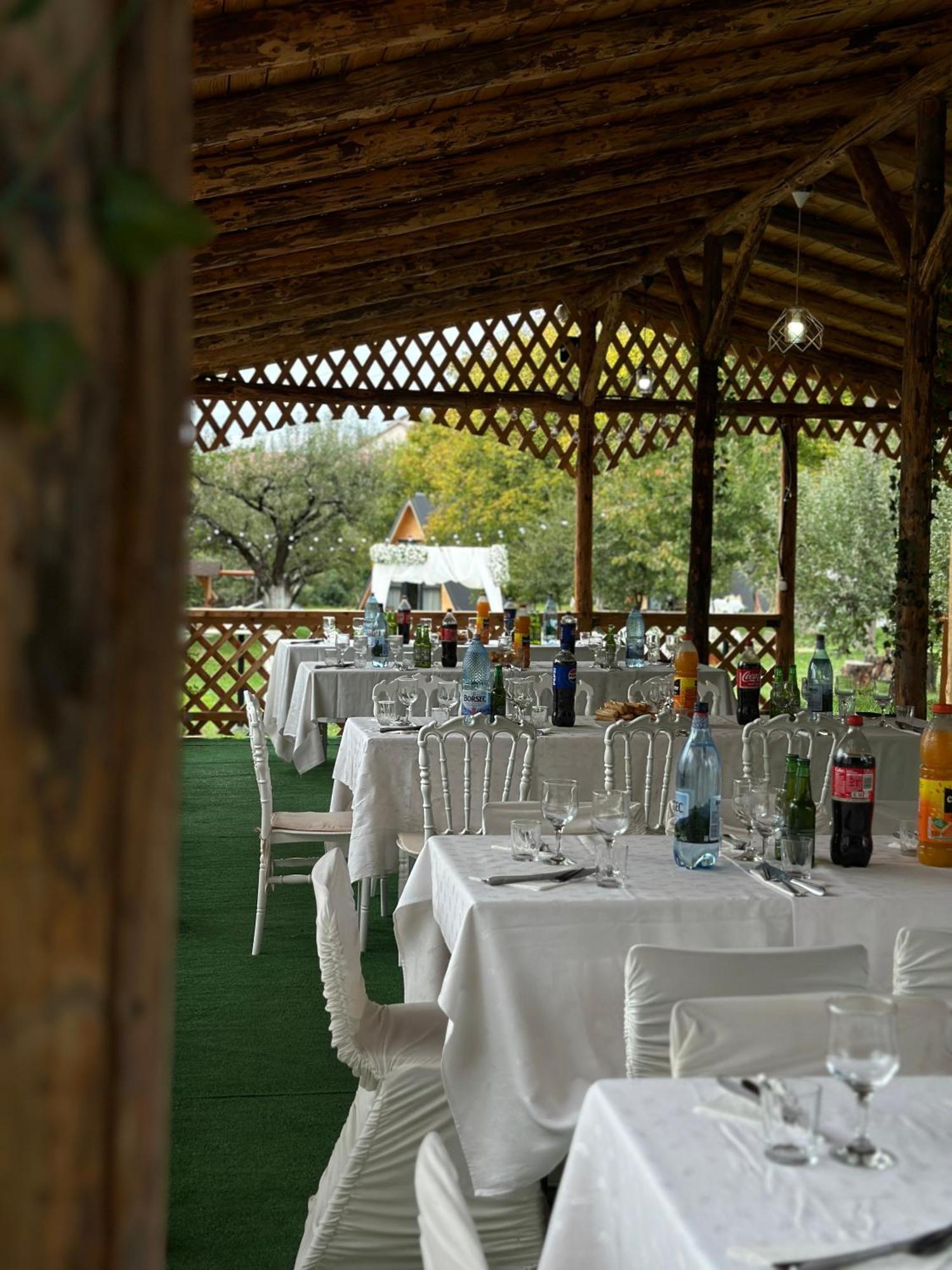The Frog Glamping Hotell Horezu Eksteriør bilde