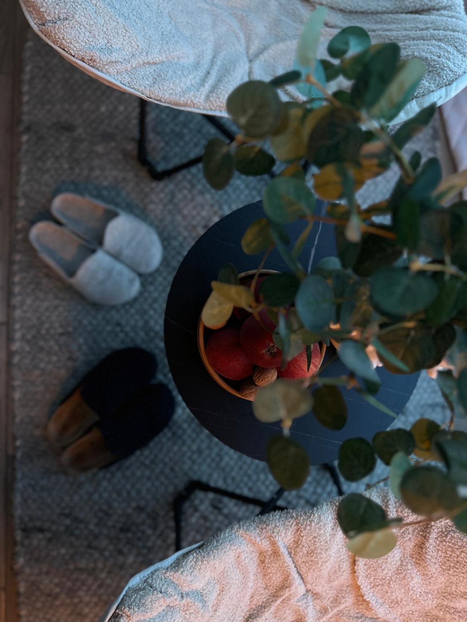 The Frog Glamping Hotell Horezu Eksteriør bilde